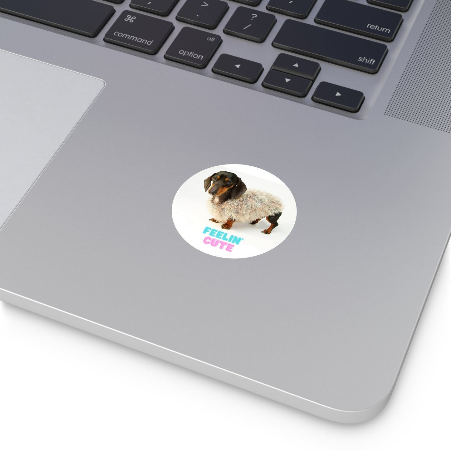 Fun Round Vinyl Dachshund Stickers