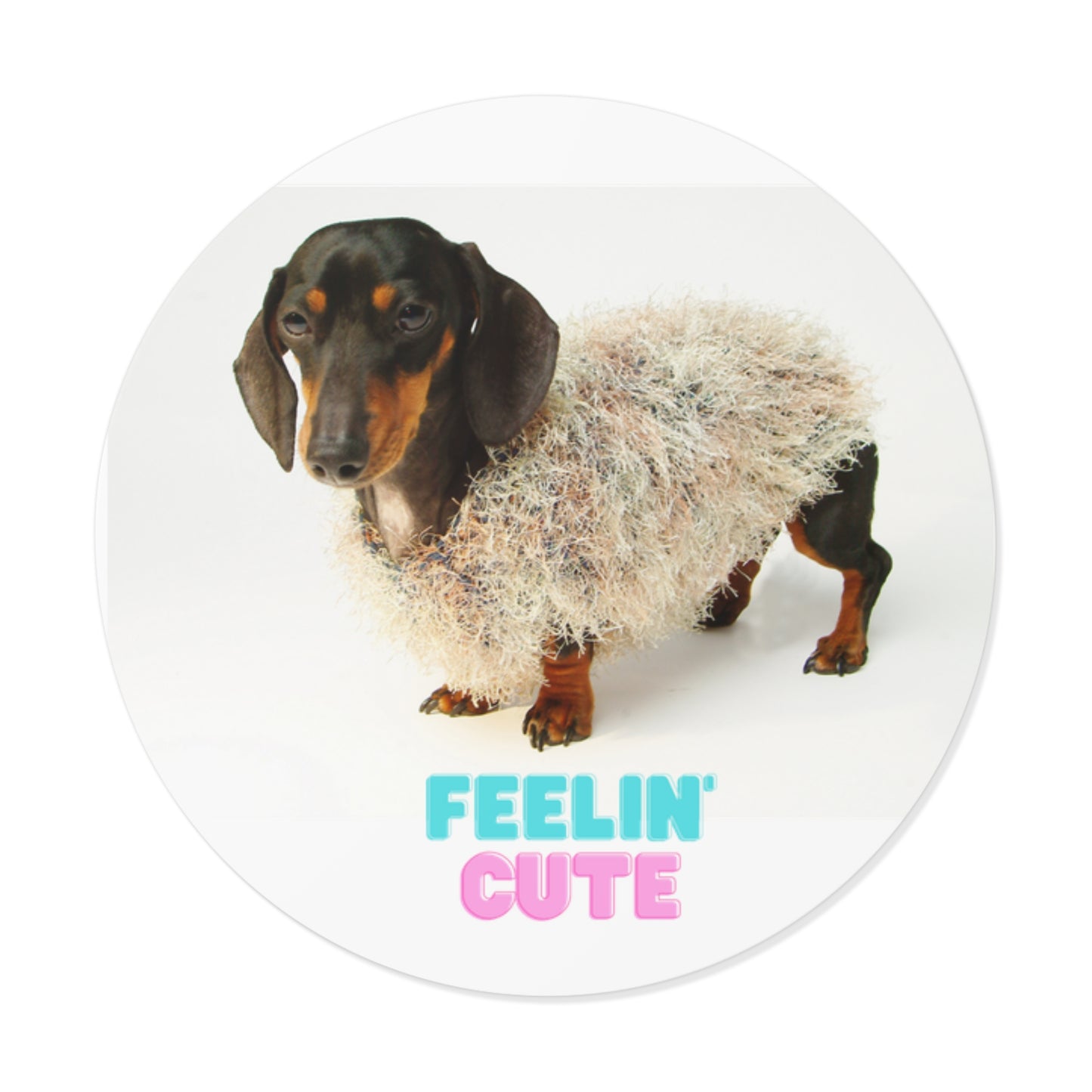 Fun Round Vinyl Dachshund Stickers