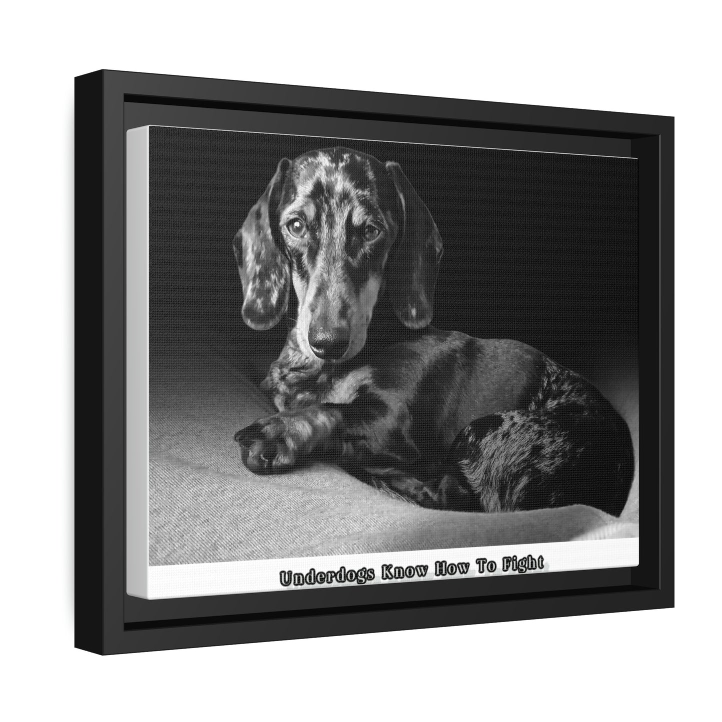 "Underdogs Know How To Fight" Matte Canvas With Black Frame