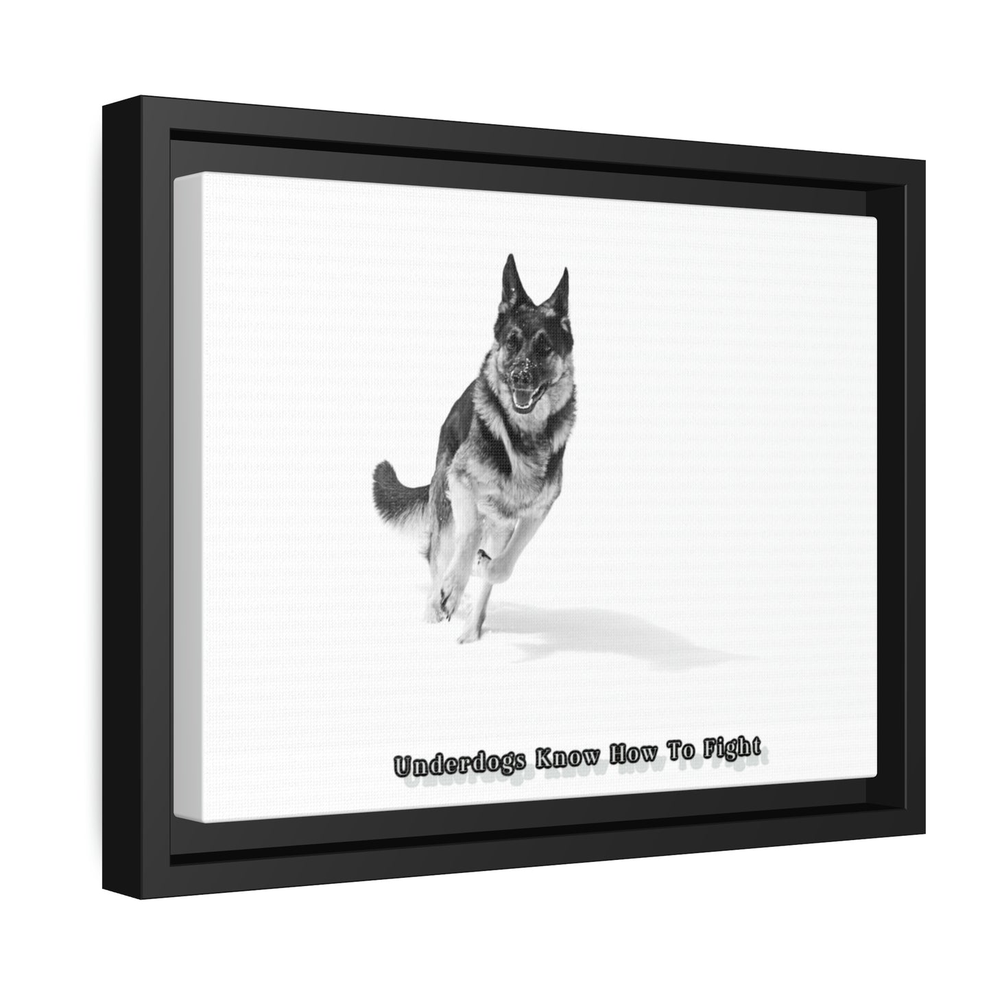 "Underdogs Know How To Fight" Matte Canvas with Black Frame