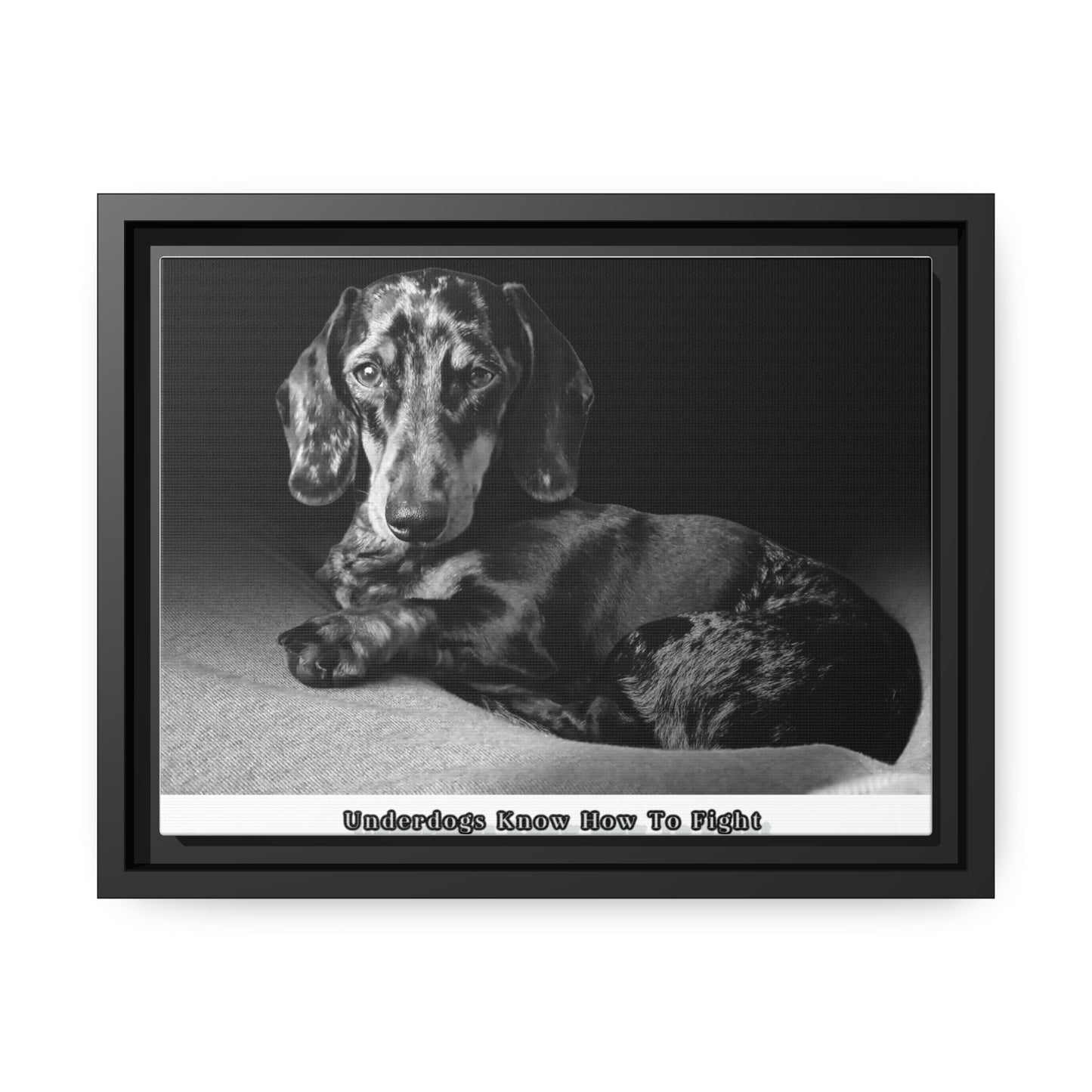 "Underdogs Know How To Fight" Matte Canvas With Black Frame