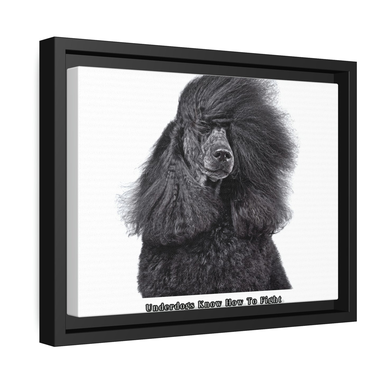 Matte Canvas, Black Frame