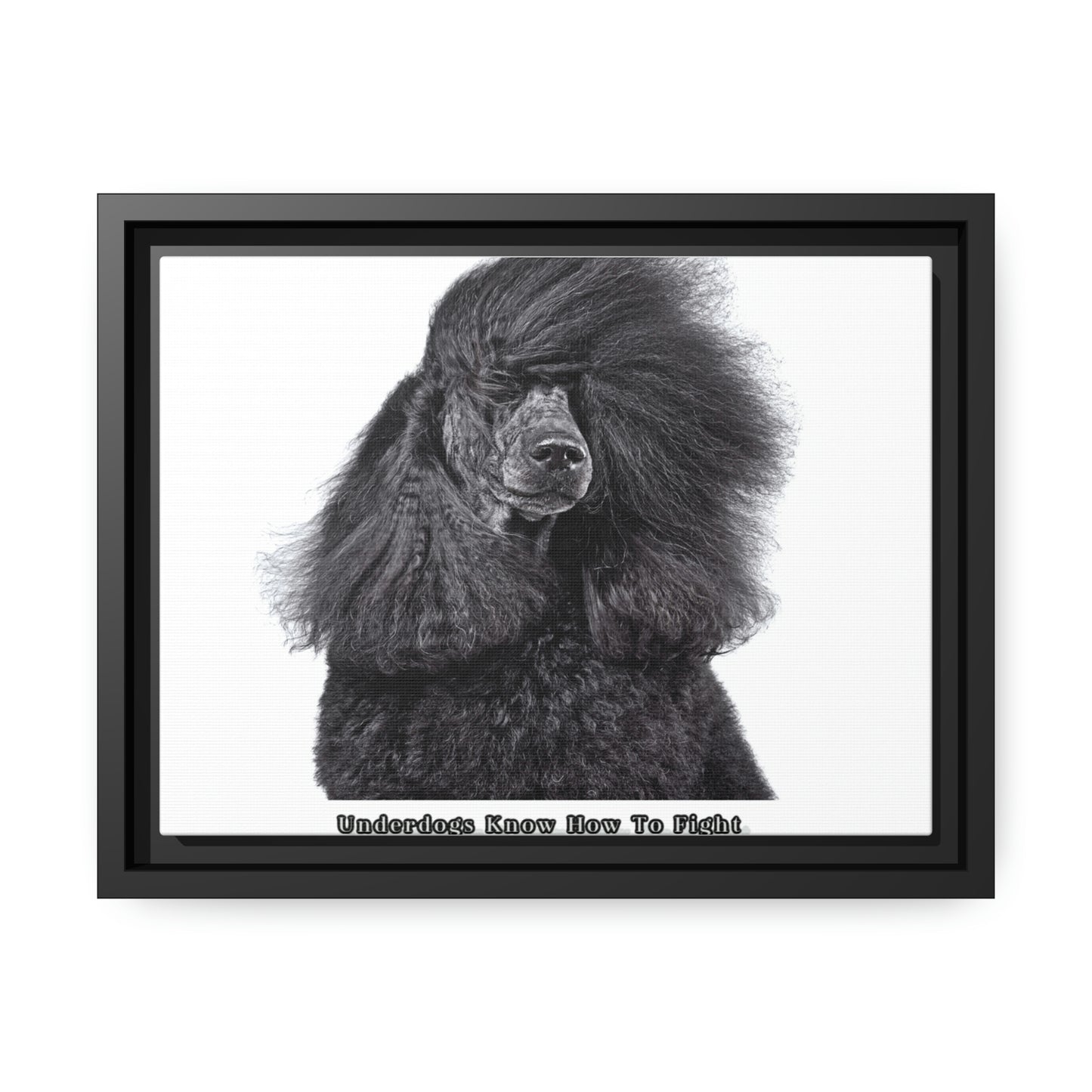 Matte Canvas, Black Frame