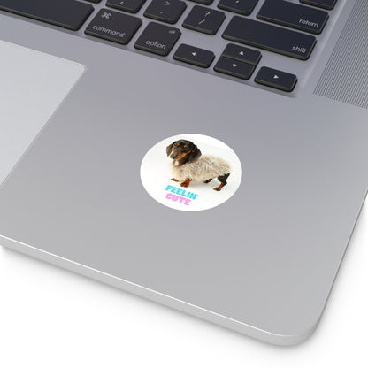 Fun Round Vinyl Dachshund Stickers