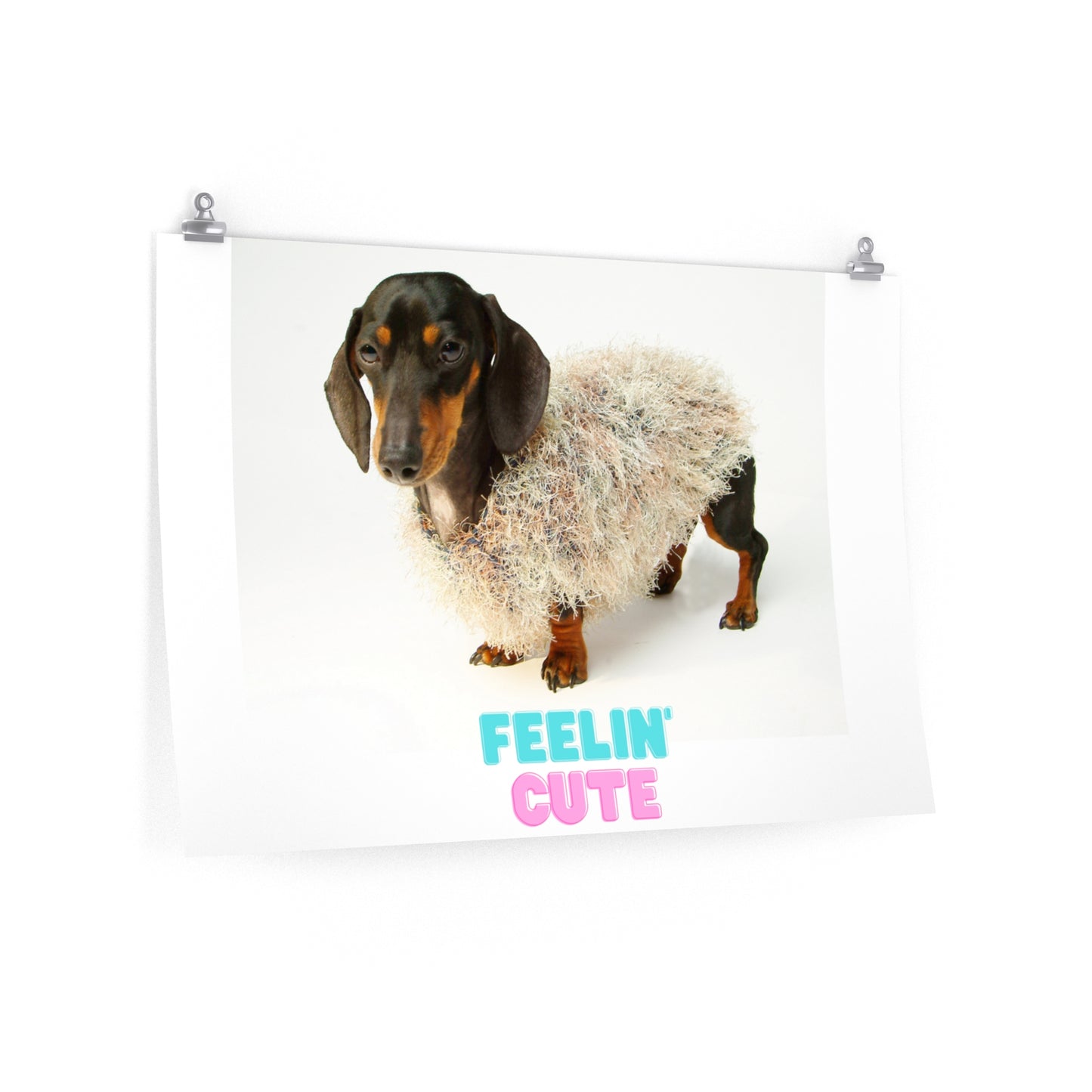 Dachshund Premium Matte horizontal posters