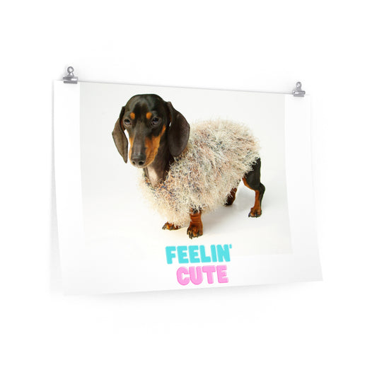 Dachshund Premium Matte horizontal posters