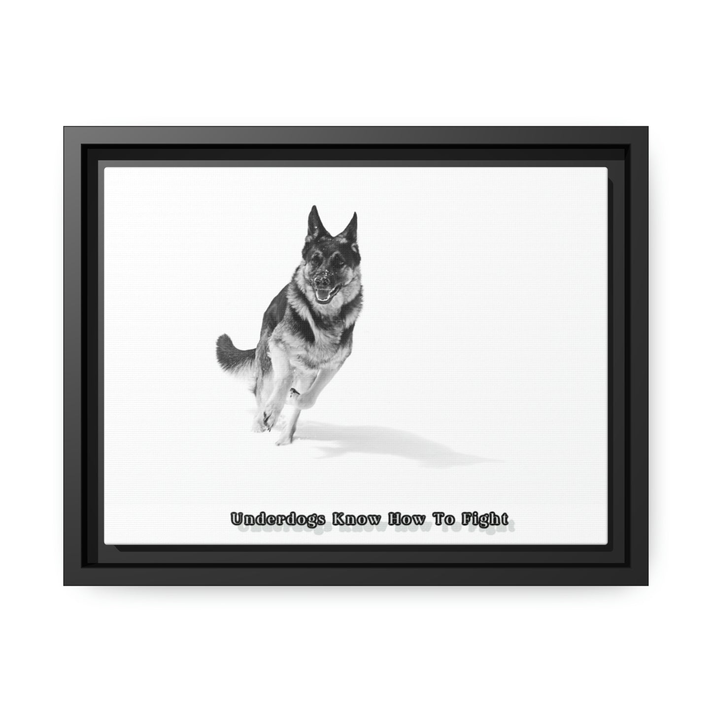 "Underdogs Know How To Fight" Matte Canvas with Black Frame