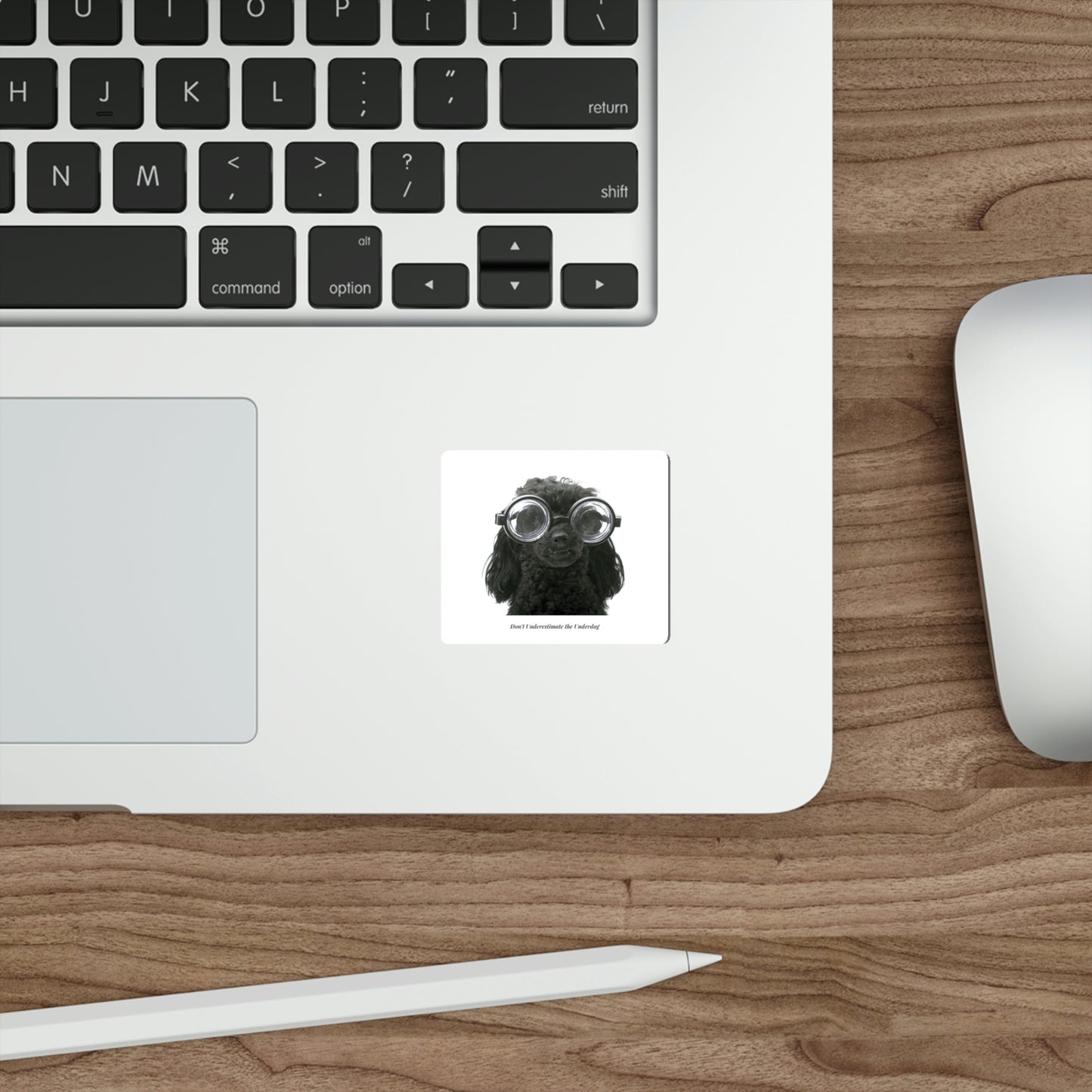 "Don't Underestimate The Underdog" Stickers